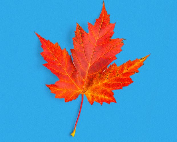 The hill I will die on: Pumpkin-spiced latte is a con. It’s time to put an end to Big Autumn
