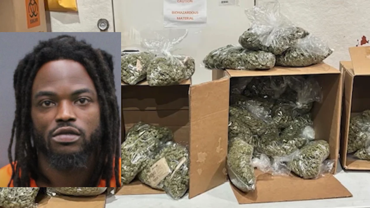 Florida Man Knocks Down Deputy After They Find 57 Pounds of Marijuana in His Residence