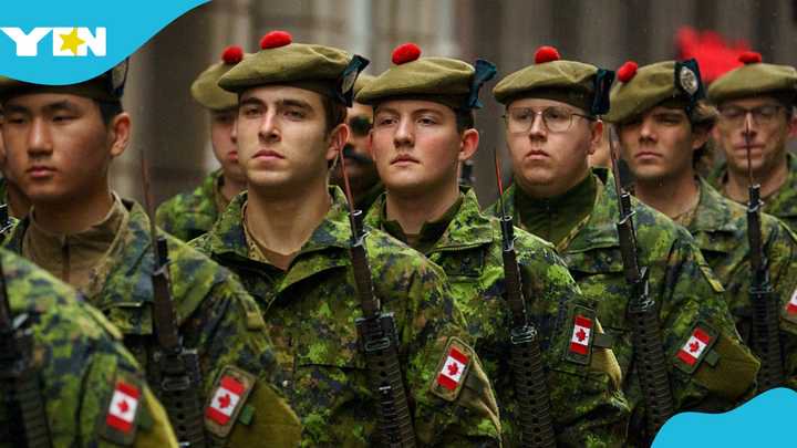 Canada Lists 3 Conditions Permanent Residents Must Meet to Join the Military