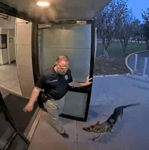 Lost Florida dog shows up at police station — as officer helps reunite ‘K-9 applicant’ with tearful owner