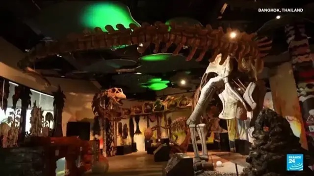 British scientists discover ancient crocodile species with bizarre toothpick-like teeth