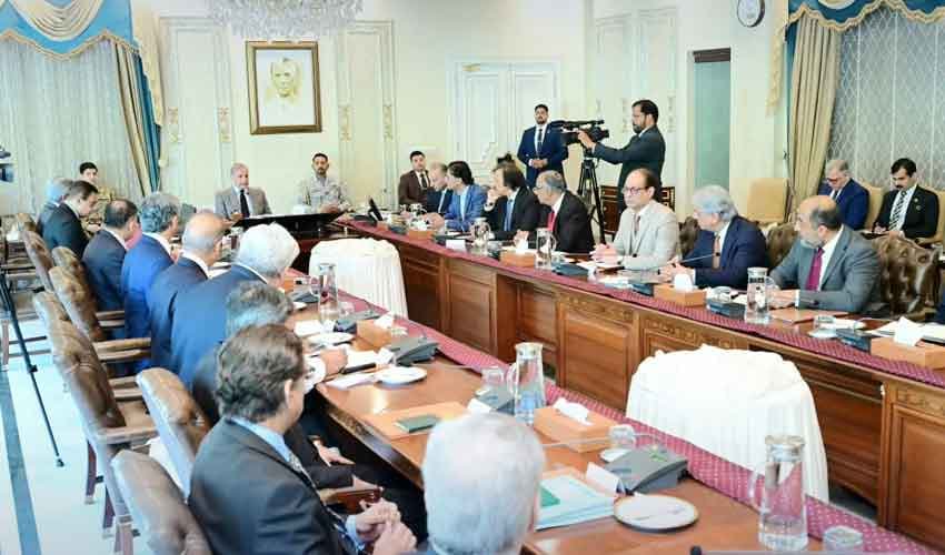 PM Shehbaz sets Dec deadline for FBR tax monitoring system