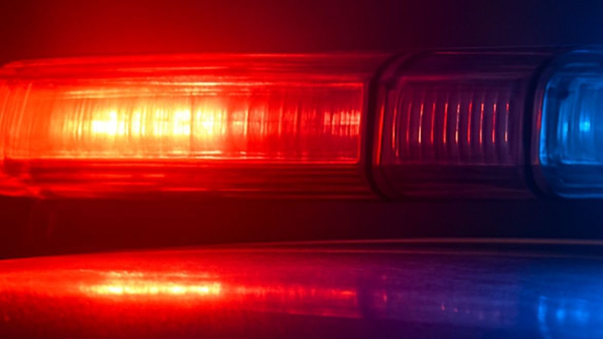 Hudson woman accused of urging children under 12 to fight