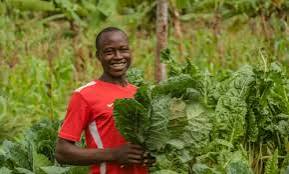 Why Kenyan Farmers Are Finally Celebrating the New October Rains