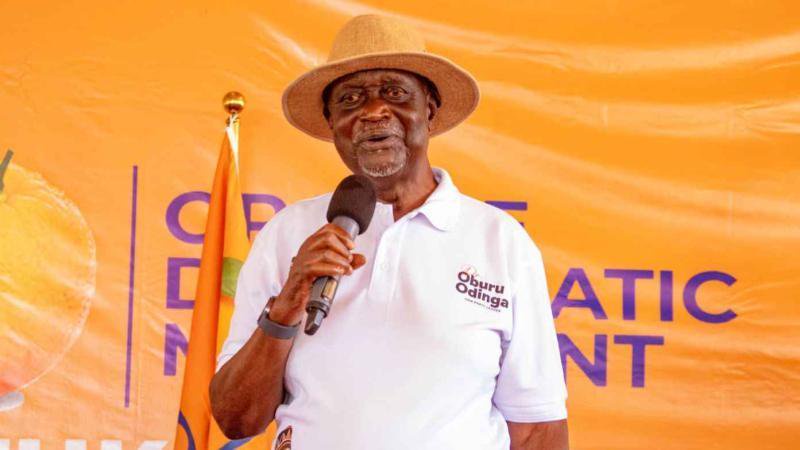 Oburu Breaks Silence on ODM-UDA Talks, Issues Warning