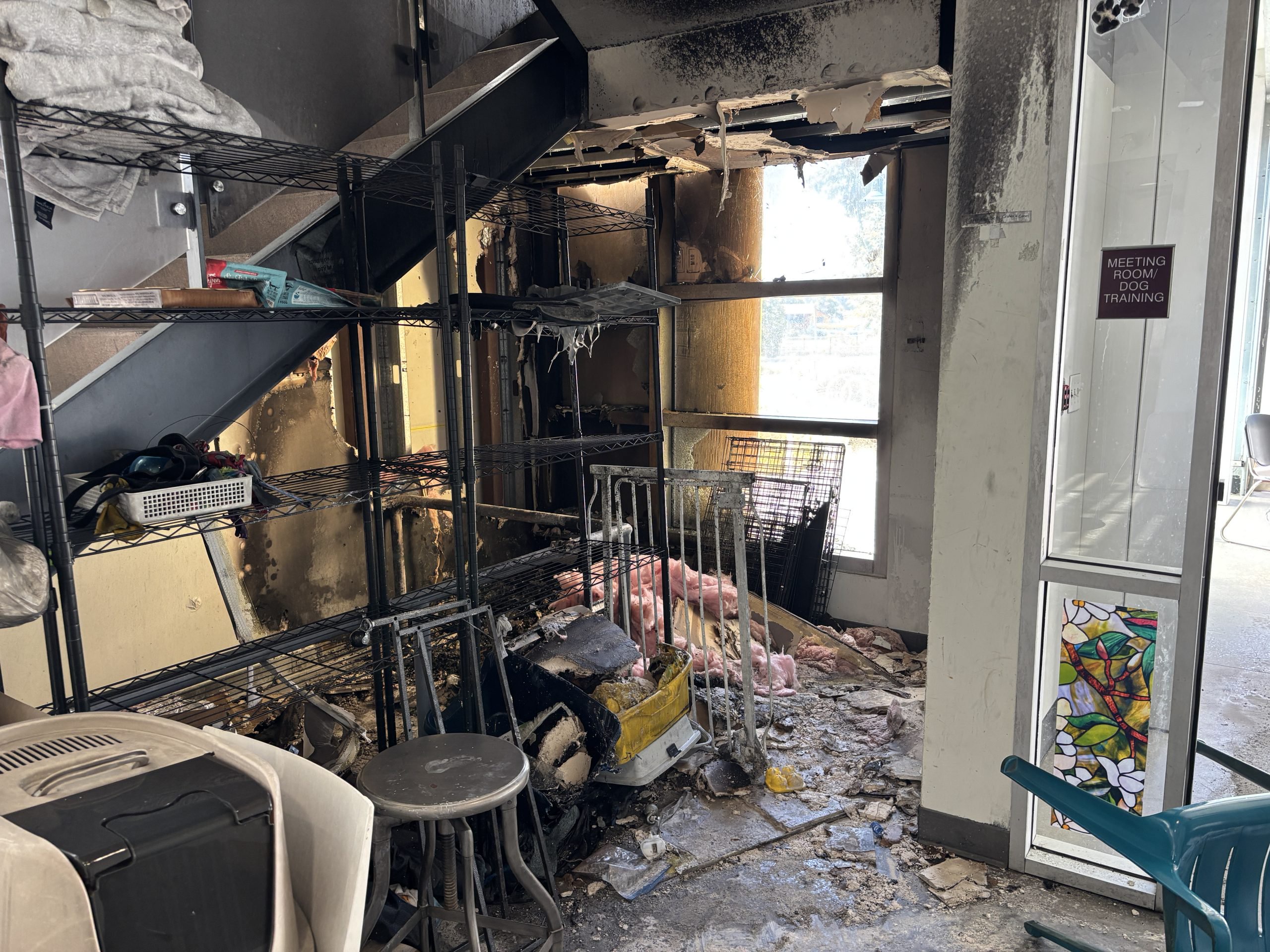 Berkeley animal shelter arsonist sentenced to 16 months in prison