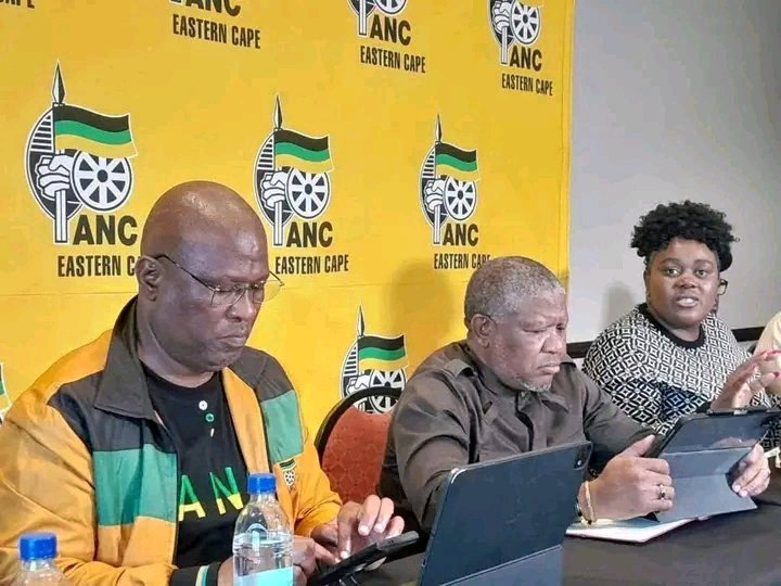 Mbalula Reveals Why the ANC Is Block