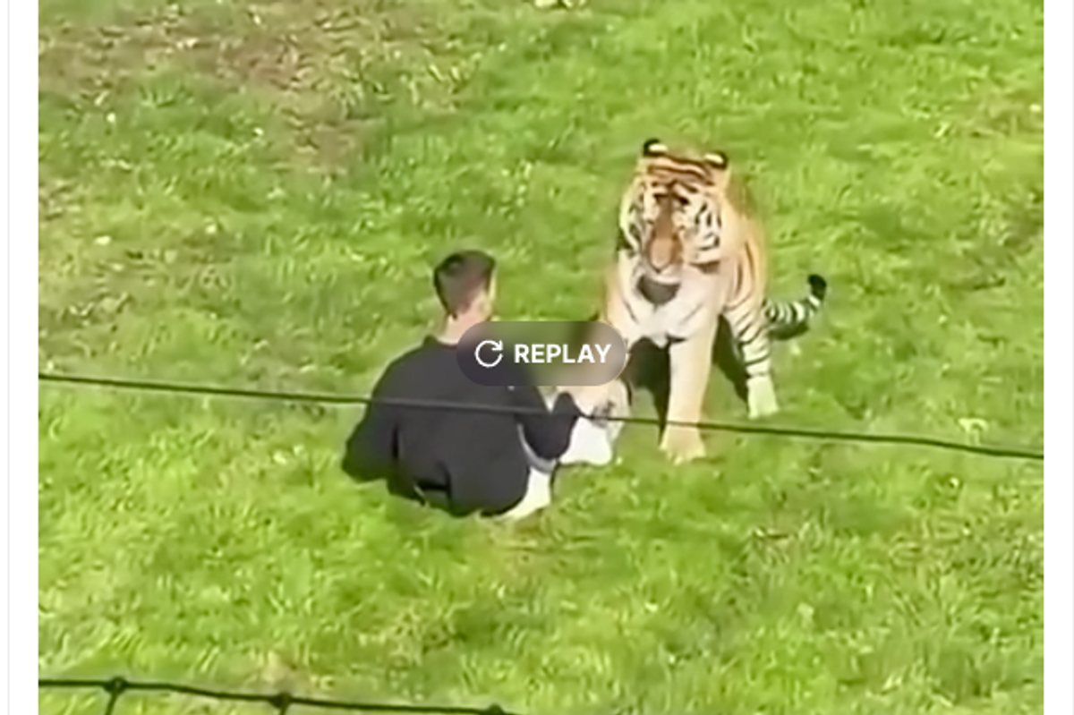 Donald Trump posts sick video of ex-actor’s last moments being mauled to death by tiger