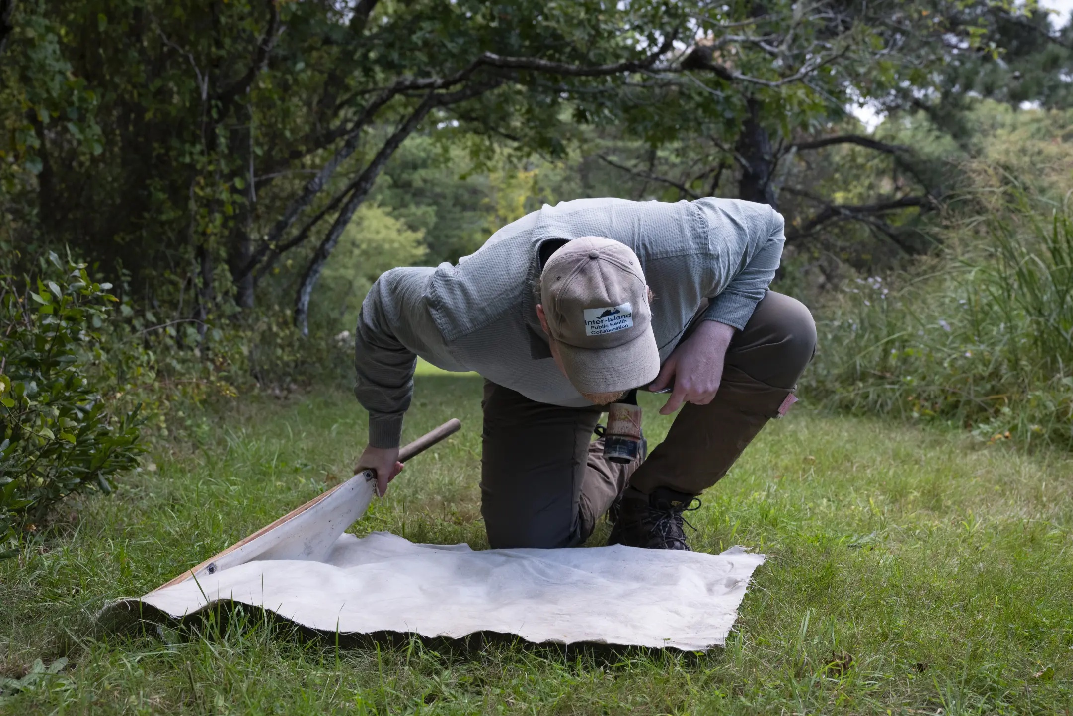 How the aggressive lone star tick unleashed a hidden meat allergy on millions of Americans