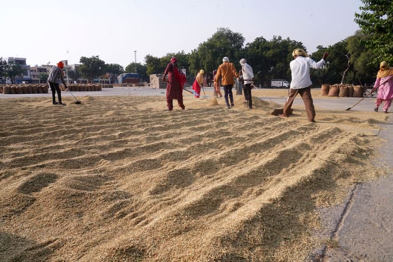 After 7 cases last year, only 5 reported so far as farm fires in Haryana dry up