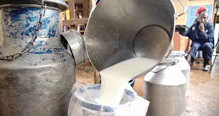 Your daily cup of tea is getting more expensive: KNBS reveals milk price surge