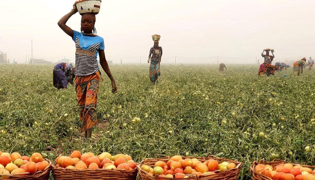 FG moves to secure farms, attract investors