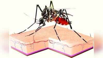 Supreme Court asks Andhra Pradesh high court to monitor child’s death probe after anti-malaria drug administration in Polavaram