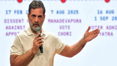 Lathi can stop a crowd, but not a question: Rahul