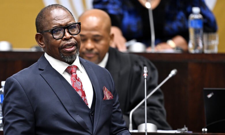Godongwana offers fuel relief but warns of weak growth and struggling municipalities