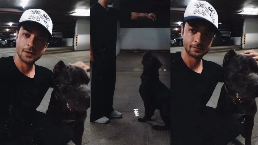 Aayush Sharma takes his dog for a 2 am cardio session: ‘Very important to burn his energy’