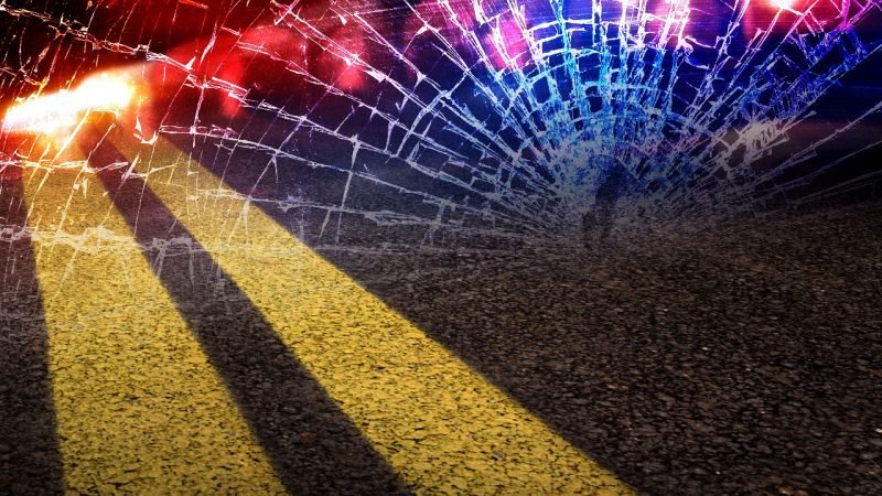 WVSP investigating fatal Tucker County crash