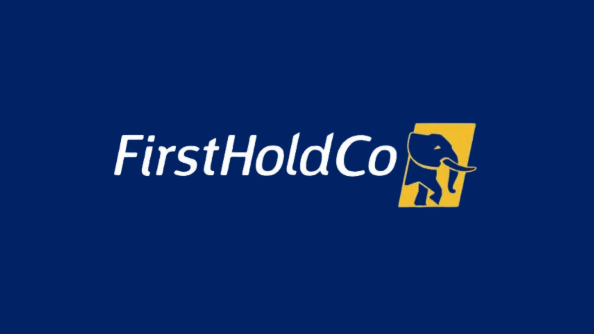First HoldCo appoints new non-executive director