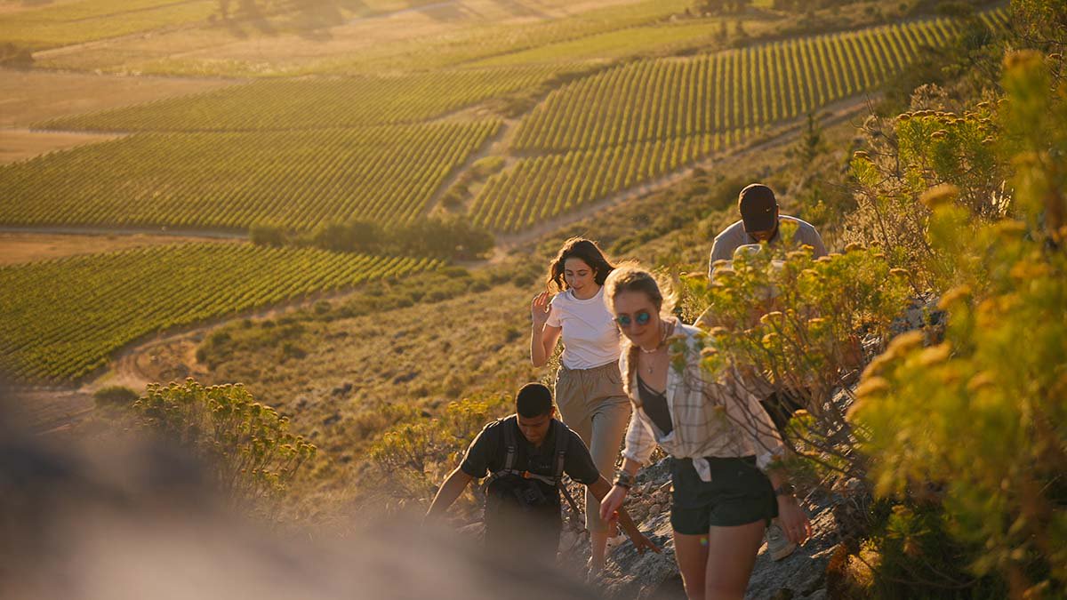 La Motte’s Hiking Trail guides you through the farm’s vineyards and fynbos