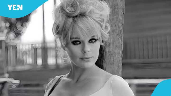 Hollywood Actress Elke Sommer Dies at 85, Days Before Her 86th Birthday