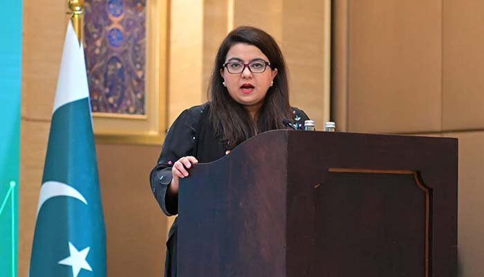 Satellite internet framework nearing completion in Pakistan to boost connectivity: minister