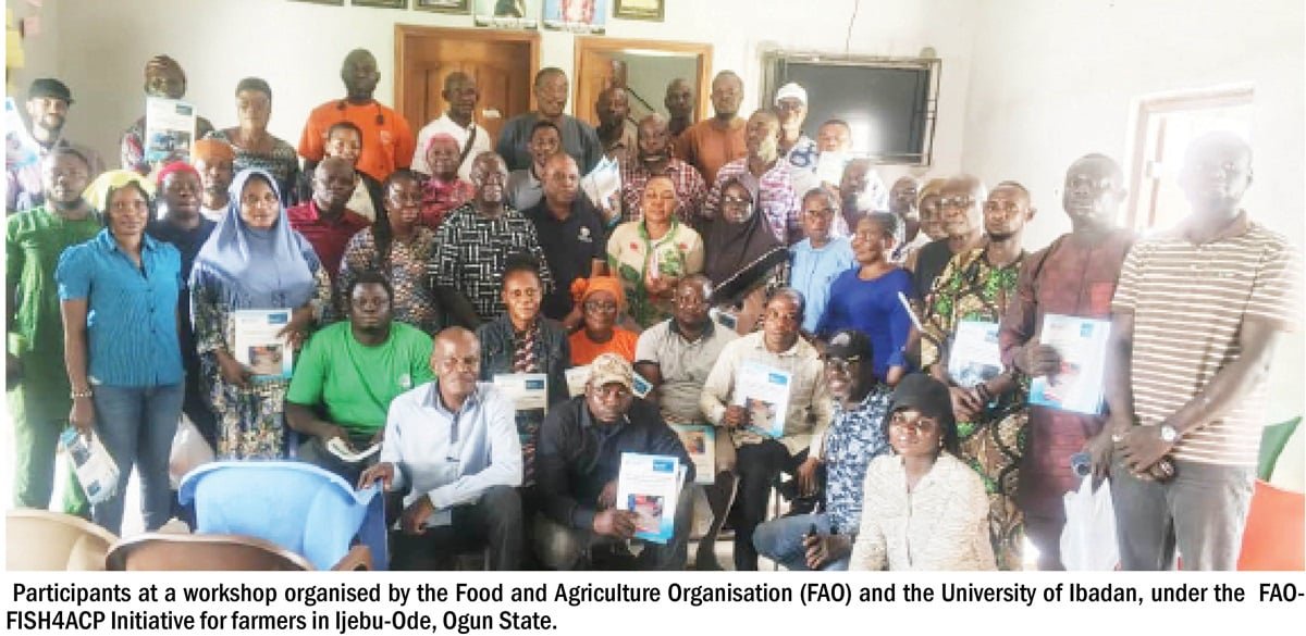 FAO, UI collaborate to strengthen aquaculture value chains in Nigeria