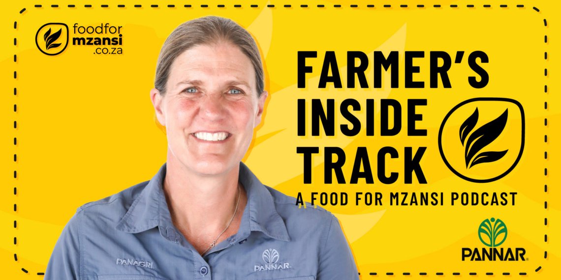 How to unlock maximum feed energy from your maize silage