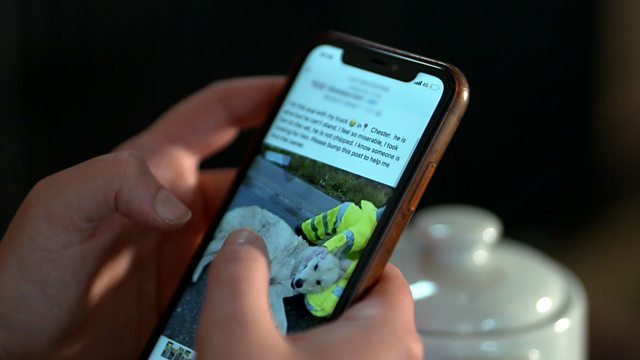 The missing person ads that transform into scams