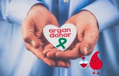 Save a life: Register as an organ and tissue donor