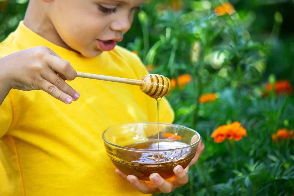 Think honey is healthier than sugar? What to know