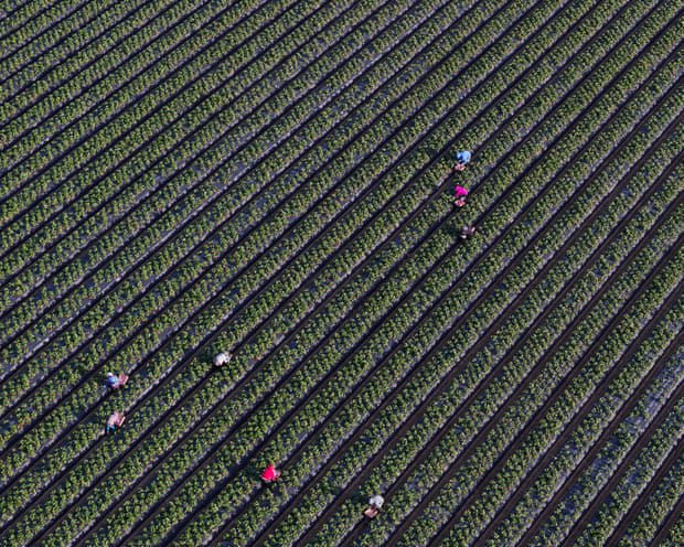 Key data missing for half of US child labor deaths, official report finds