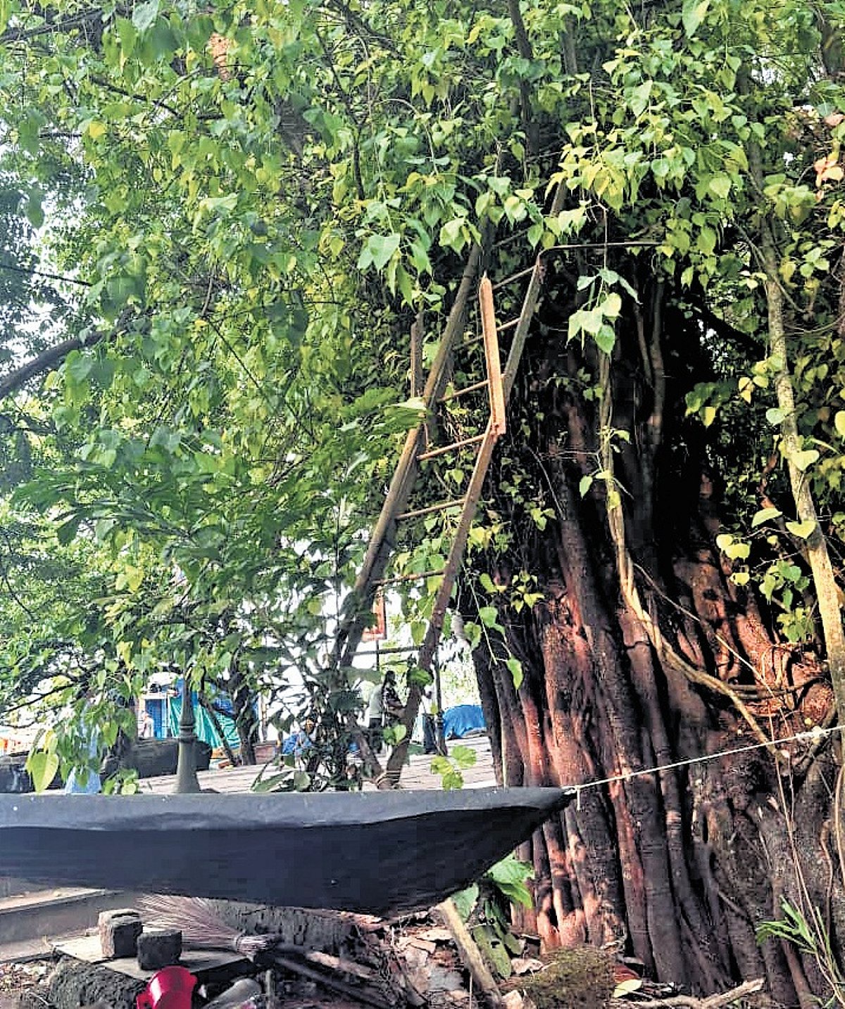 Eroded by tides of time, Kerala’s Raj-era weather system evokes concern