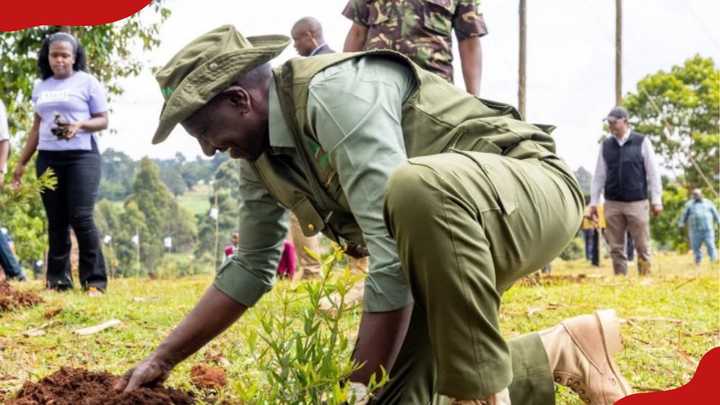 Mazingira Day: 200,000 Kenyans Targeted to Plant 6 Million Trees in One Hour
