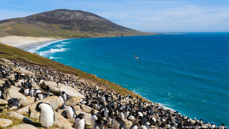 How an oil project reignited UK-Argentina Falklands dispute