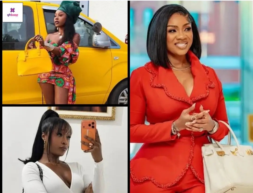If My Money Can Only Buy a Fake Birkin, What Is Her Problem — Efia Odo Challenges Serwaa Amihere