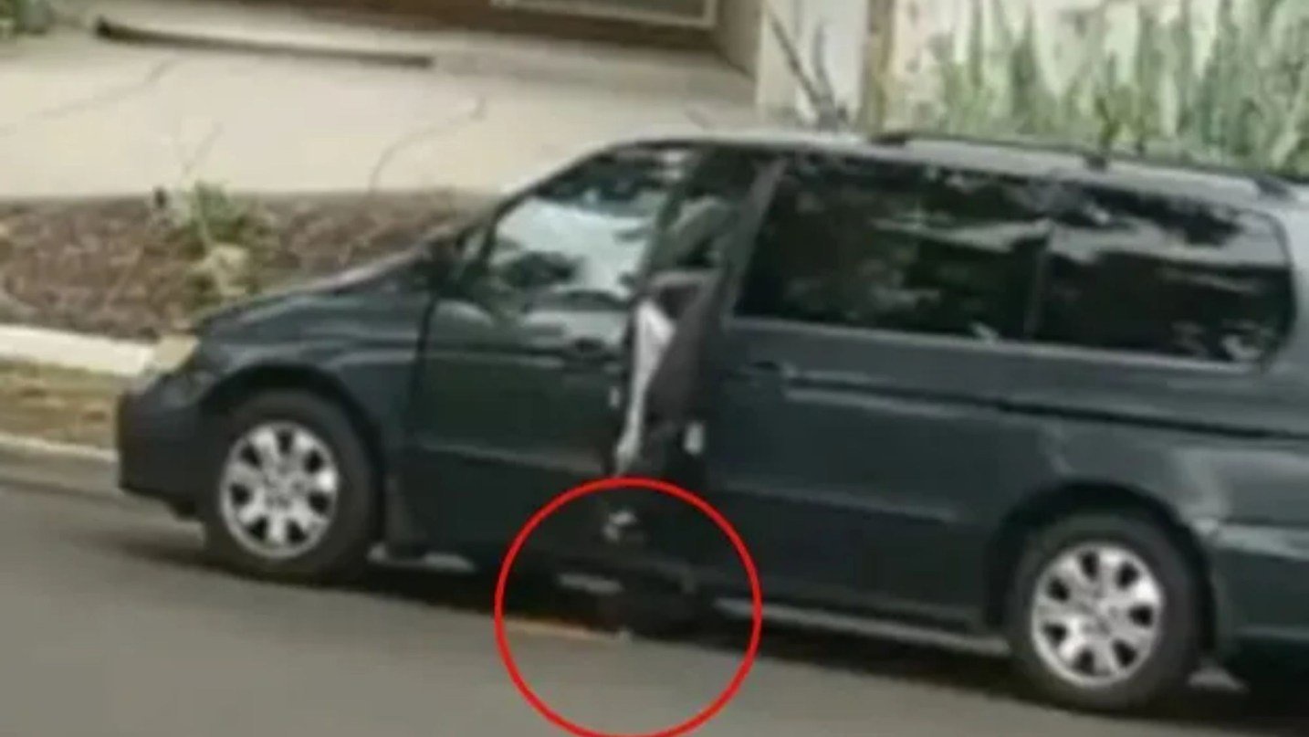 Disturbing moment woman, 75, lures puppy under van with food before ‘deliberately’ running pooch over as she’s arrested