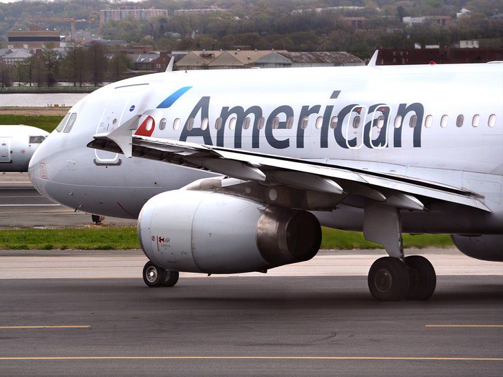 American Airlines Passenger Allegedly Put Her Legs Against Window As She Masturbated