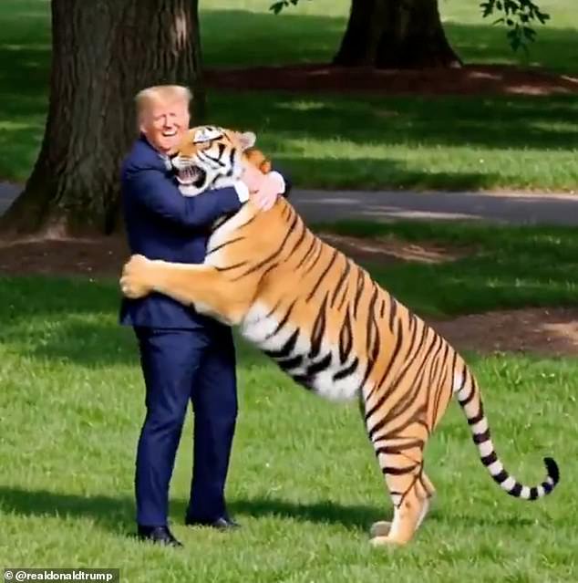 Trump posts bizarre AI video parodying Yorkshire zoo tiger attack that shows president wrestling and taming the beast