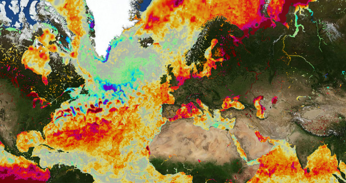El Nino weather forecast with ‘near-100% chance’ after link to snow hitting UK