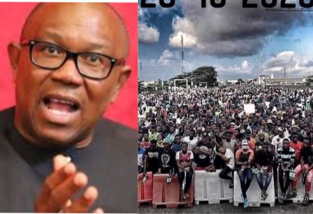 ENDSARS: Reactions Trail What Obi Said About Those Who Were Killed At Toll Gate On October 20, 2020