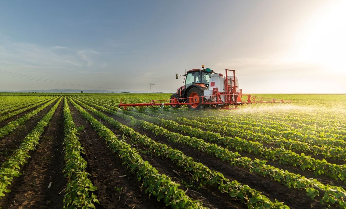Same leaders told to establish agro-processing industries