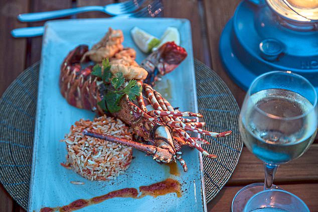 Where to eat, stay and play in Northern Tanzania