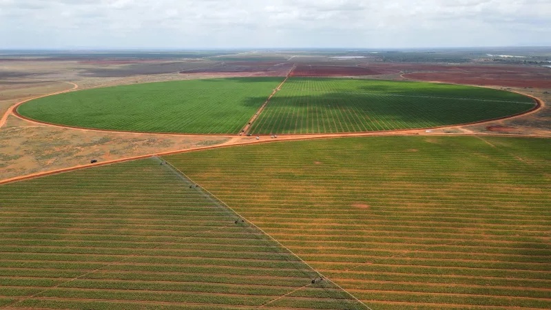 Galana-Kulalu farm turns to precision farming to boost Kenya’s food security