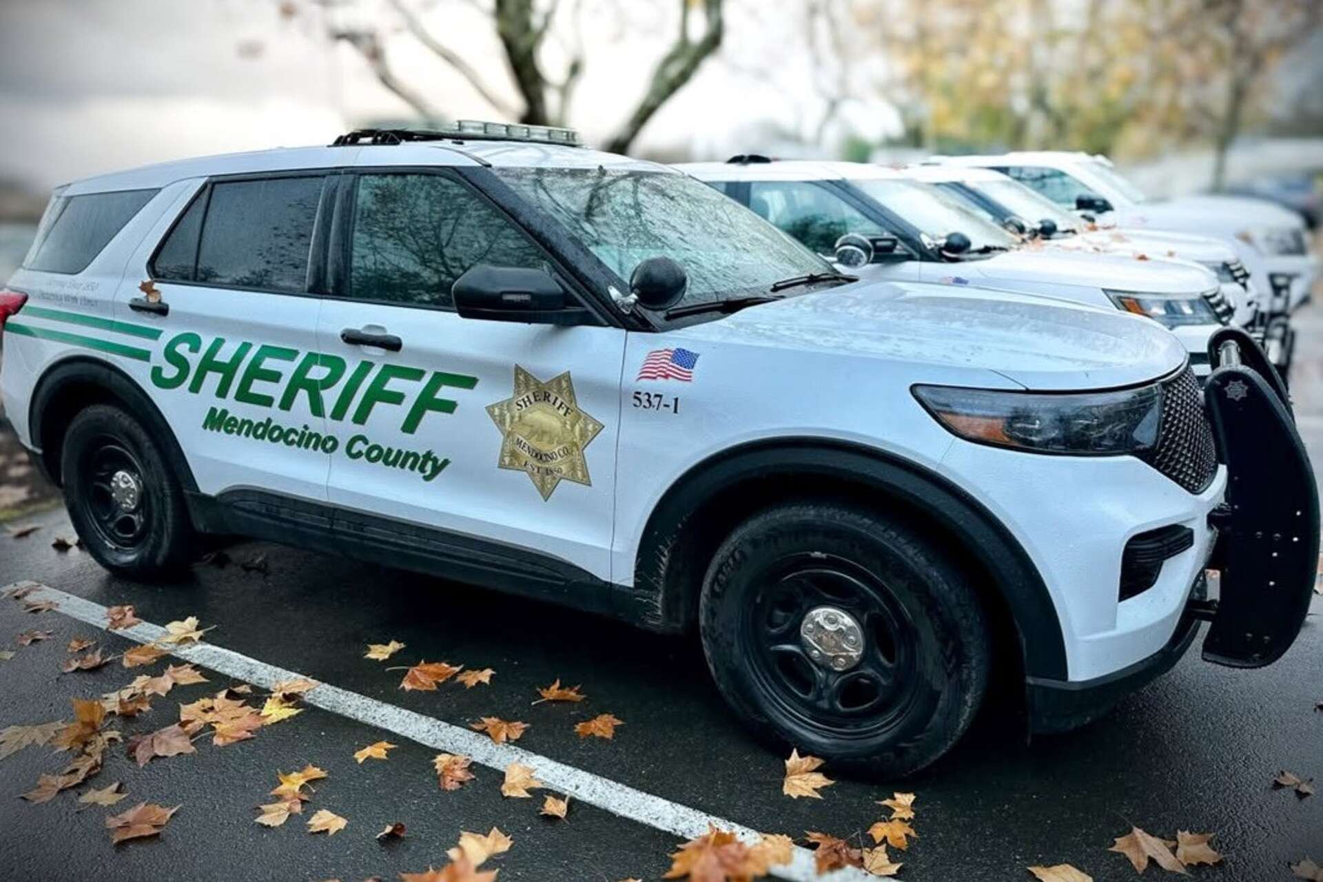 Father suspected of killing his 2 kids, then himself, in Northern California