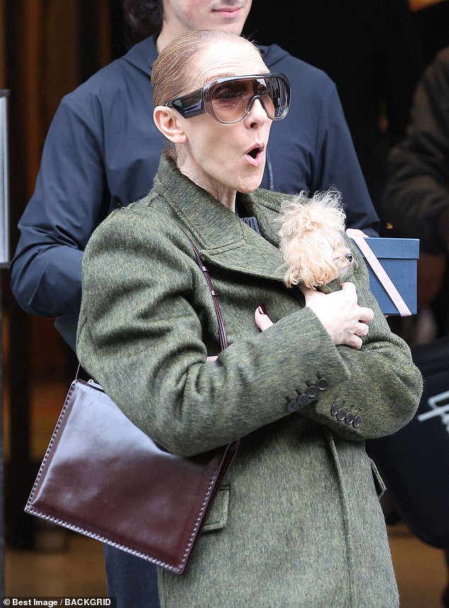 Celine Dion wraps her tiny pet poodle Madison in her coat as she leaves her hotel with her sons the day after her final concert in Paris