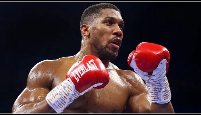 Heavyweight champ Hrgovic begs Joshua to retire