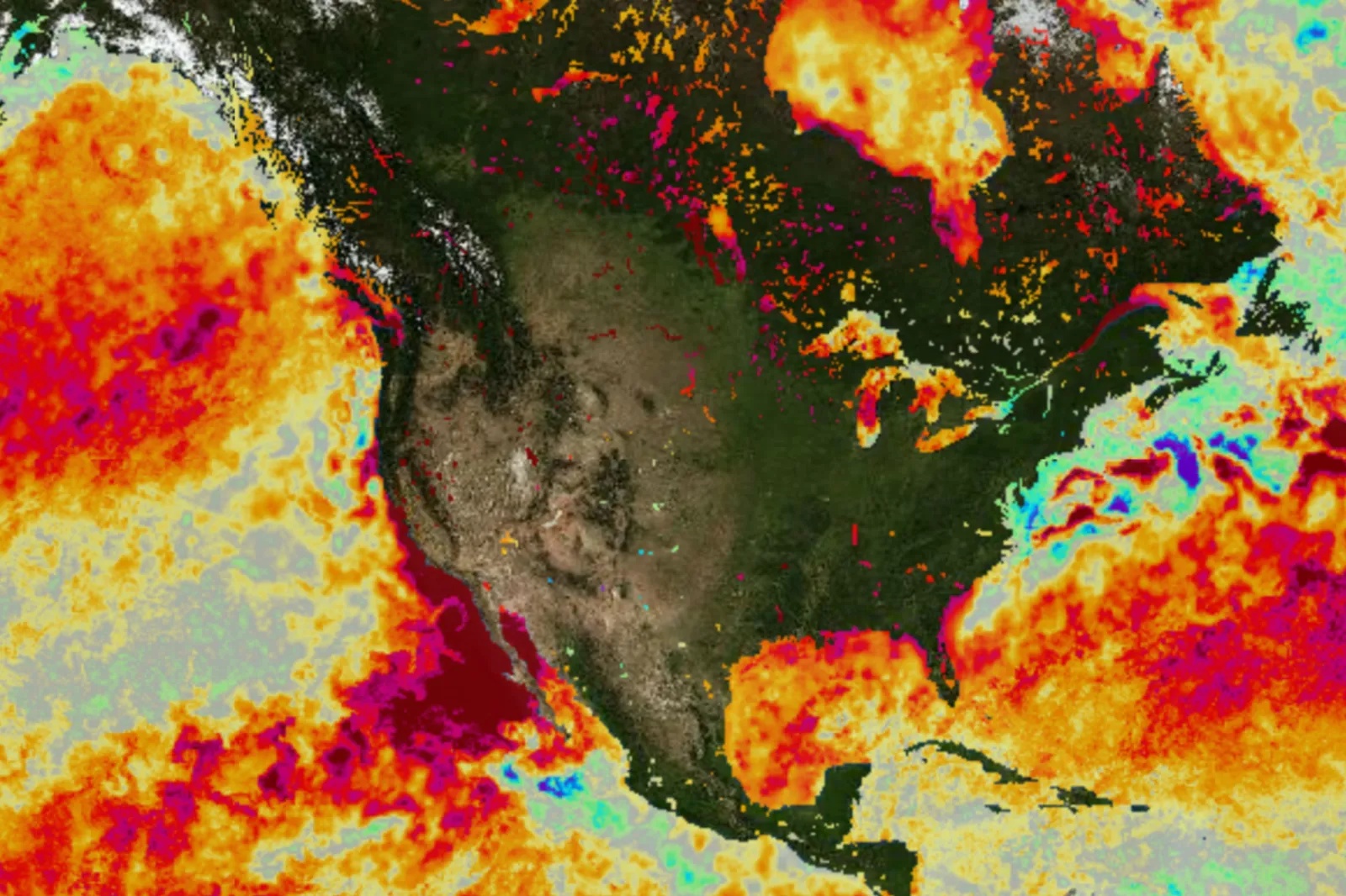 New El Niño Forecast Reveals Winter Outlook as Event Strengthens