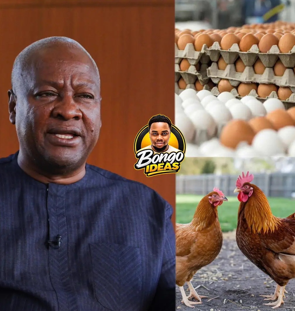 Nkokɔ Nkitinkiti Policy: Egg Prices Reportedly Drop as Ghanaians React