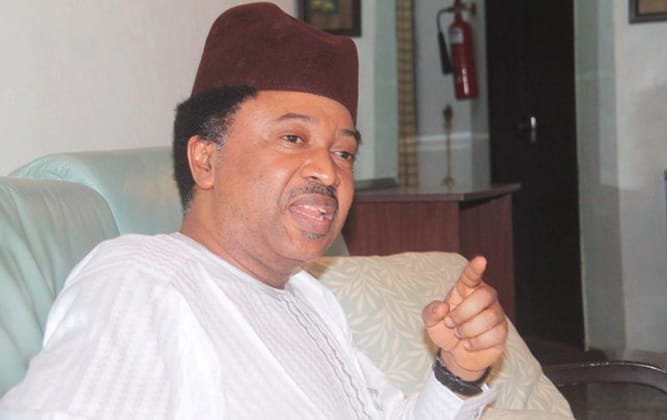 INEC List: Don’t Waste Your Money In Courts, Shehu Sani Tells Affected Candidates