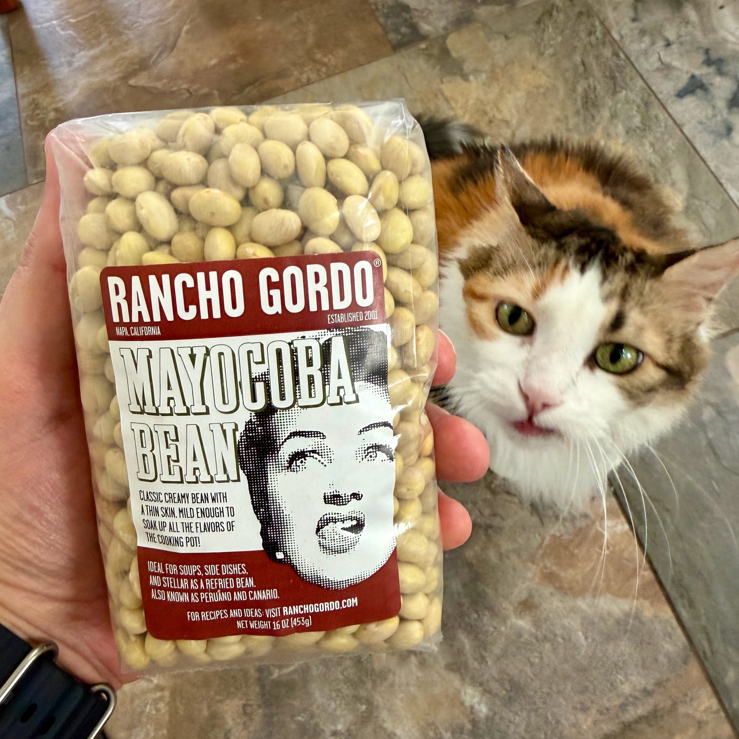 Kitchen Table Kibitzing 10/19/2026: Peruvian Beans